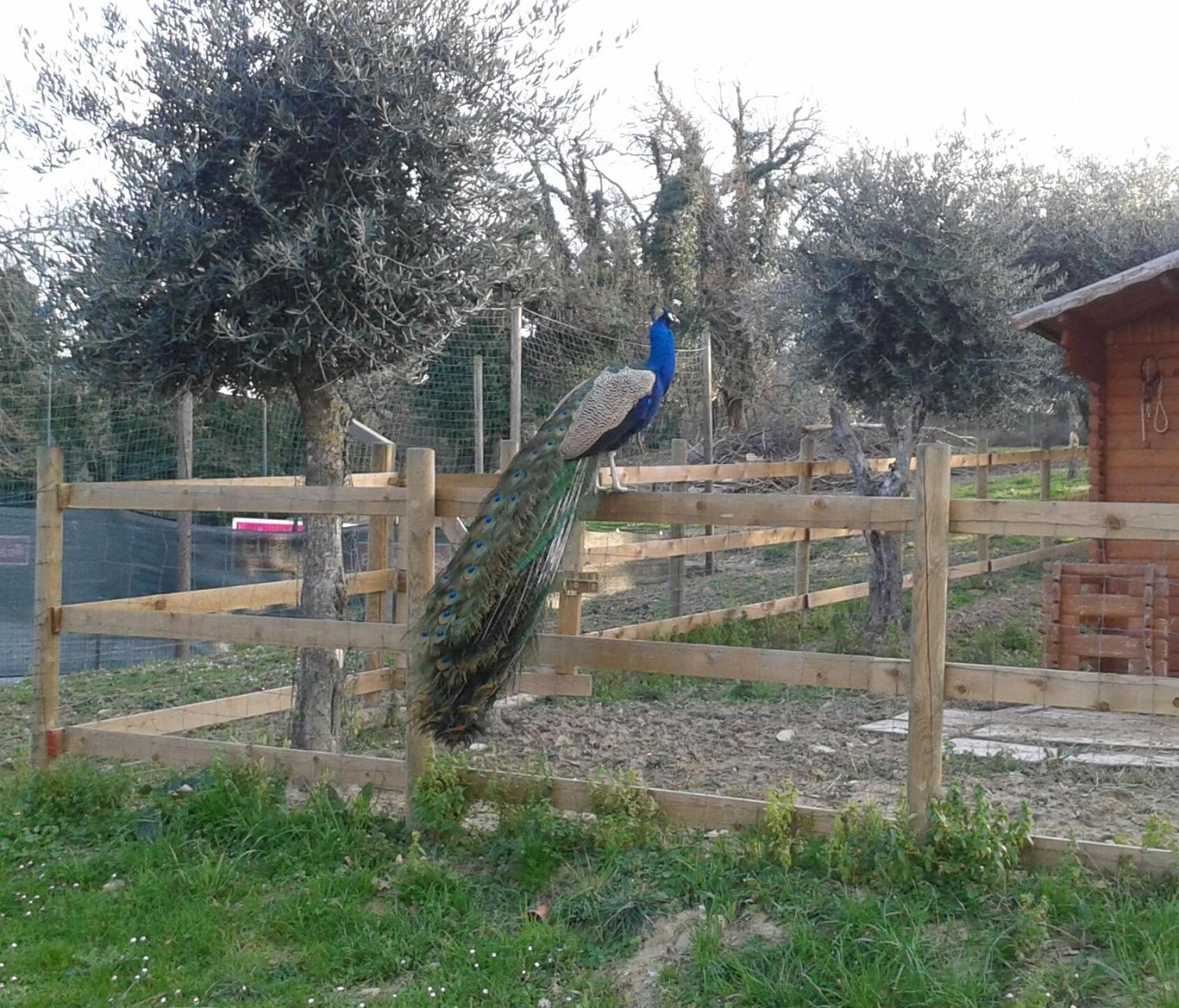 Garden Village San Marino Exterior foto